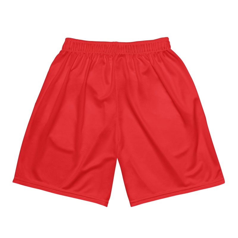 The Westside Raised Me – Unisex Mesh Shorts - Image 2